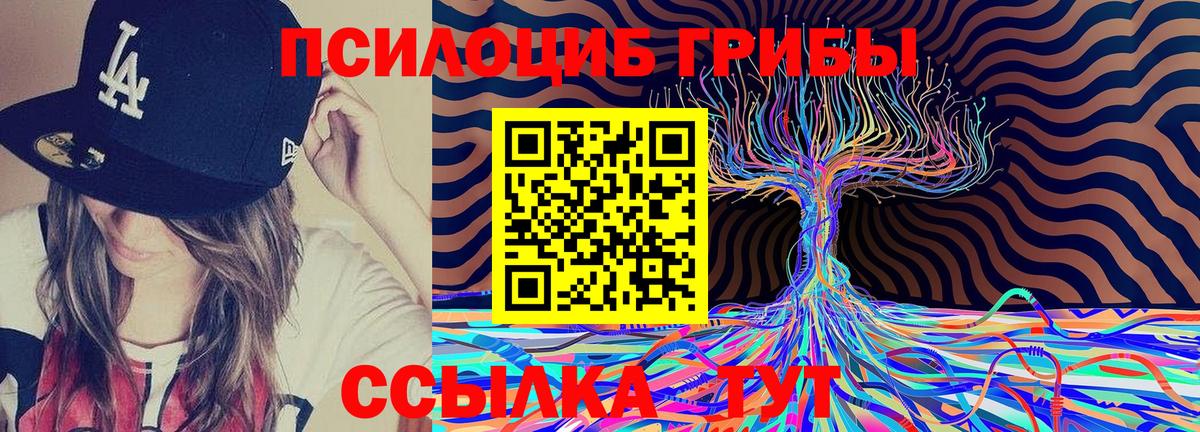 Галлюциногенные грибы Cubensis  Александров 