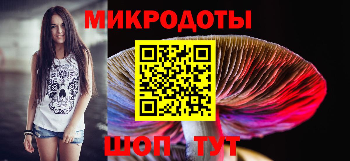 Псилоцибиновые грибы GOLDEN TEACHER  купить наркоту  Александров  Вход с VPN 