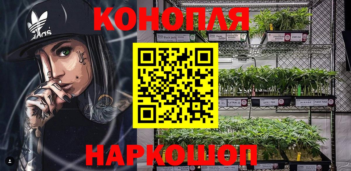 Бошки марихуана сатива Александров